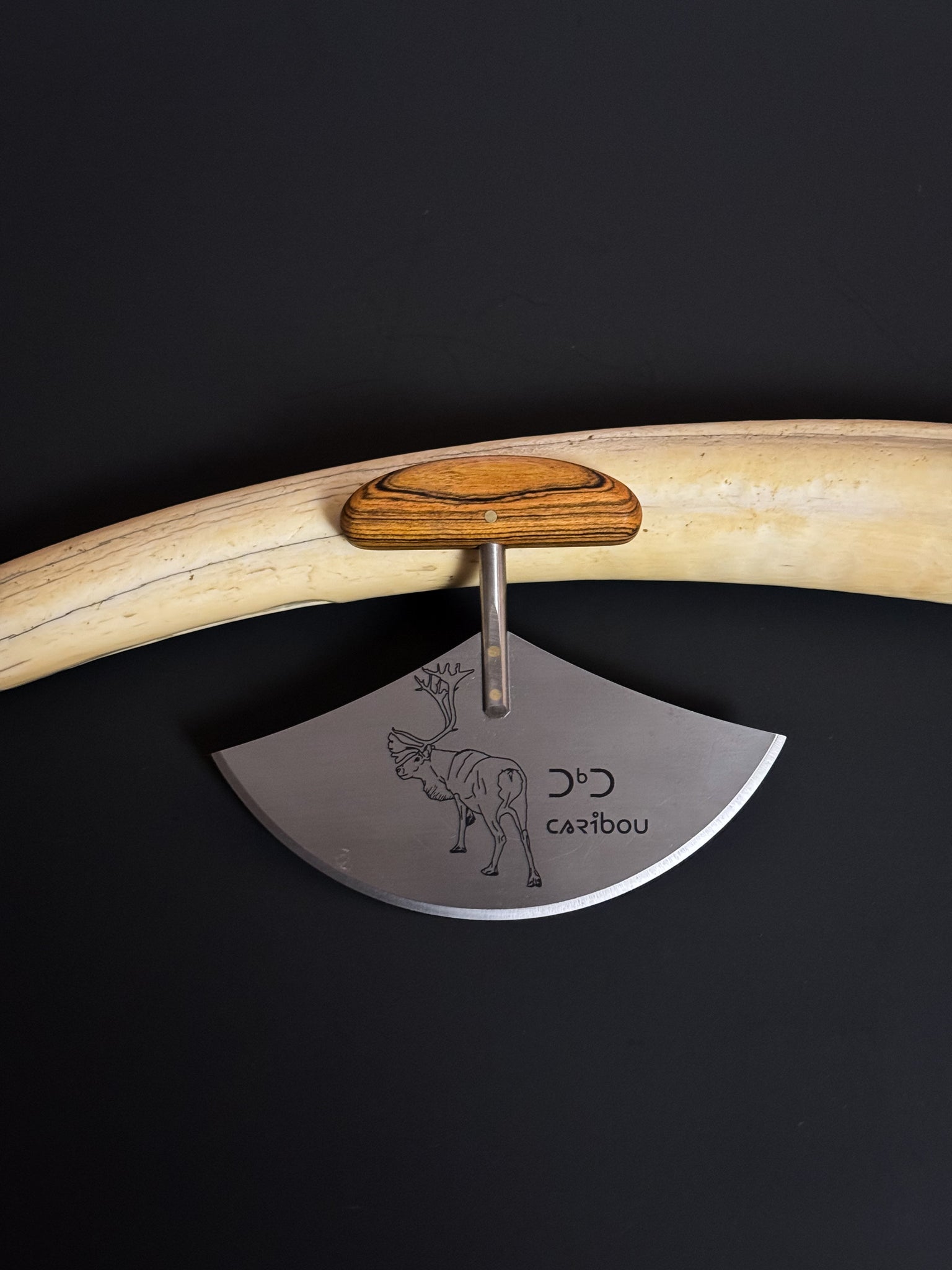 Arctic Lifestyle Caribou